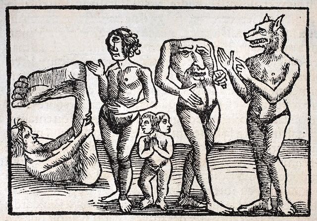 Träsnitt från Sebastian Münsters Cosmographie 1552